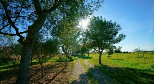 Bou Ros Finca Can Nadal, Book Hotel Felanitx Mallorca