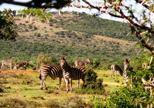 Valley Bushveld Country Lodge