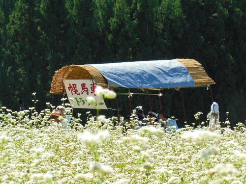 Hotel Tsubakino, Забронировать Отель Яманоути Shimotakai