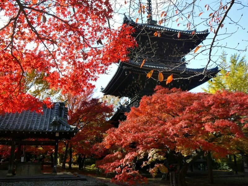 宮川町の宿 澤食