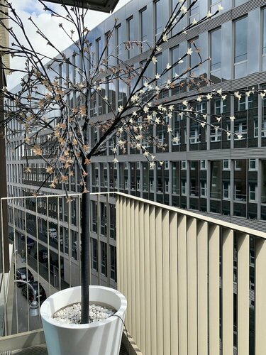 Domapartment Cologne City Heumarkt, Забронировать Апартаменты/квартира Апартаменты Кельна, рядом с Музей Людвига, Апартаменты/квартира