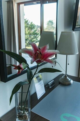 Motel Le Léman, Book Motel Hoteller i Vaud med parkering, Parkering