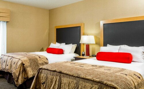 Cambria Hotel Raleigh-Durham Airport, Prenota Hotel Cary Raleigh-Durham Metropolitan Area