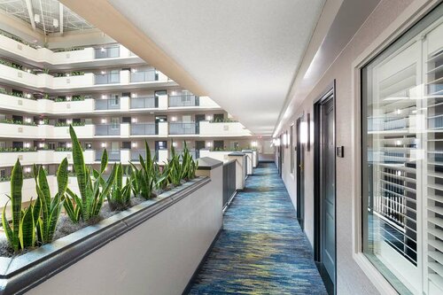 Embassy Suites Orlando - Airport, Book Hotel Hoteller i Kissimmee med pool, Swimmingpool