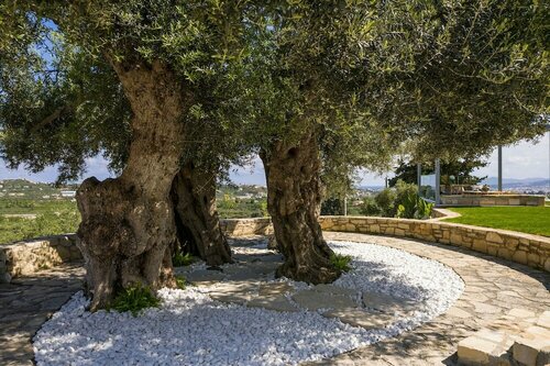 Olivenest Chania