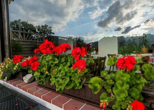 Pension Rauschberghof Inh. Petr Uher