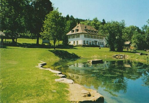 Gut Lauterbad, Reserva ahora Hotel Hoteles en Baden-Wurtemberg con aparcamiento, Aparcamiento
