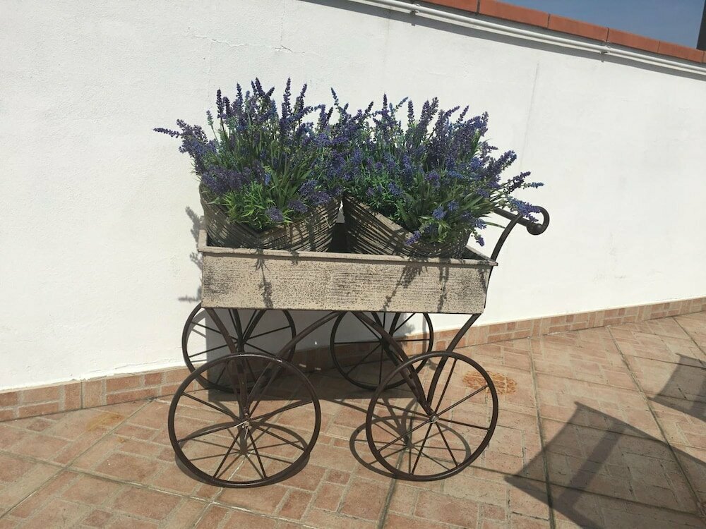 B&B La Terrazza
