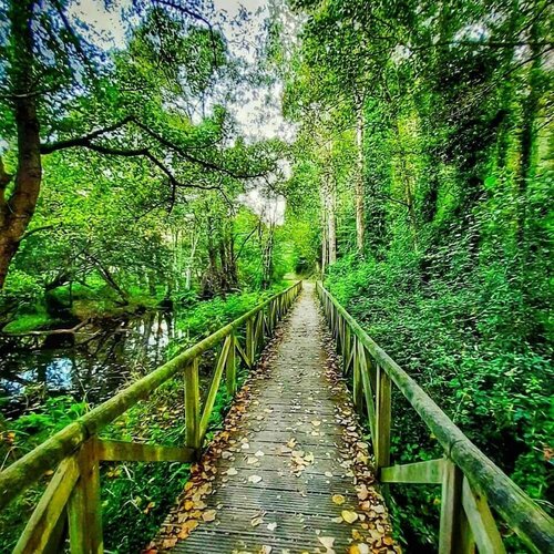 La Aguilerina Apartamentos Rurales, Prenota Appartamento Cudillero 