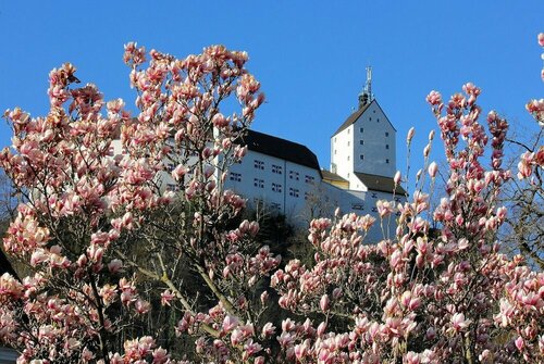 Hotel Hohenaschau, Prenota Hotel Hotel a Chiemgau con pasti, Mezza/completa pensione