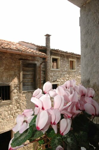 Albergo Diffuso Valcellina e Val Vajont in Erto, Забронировать Отель Erto 