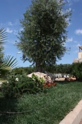 L'Arco del Saracino, Book Hotel Lido Marini Salento