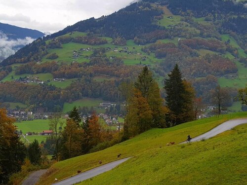 Haus Bahl, Book Hotel Hoteller i Vorarlberg med parkering, Parkering