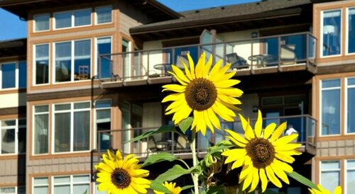 The Cove Lakeside Resort, Buchen Sie Resort SPA-Hotels in British Columbia, SPA