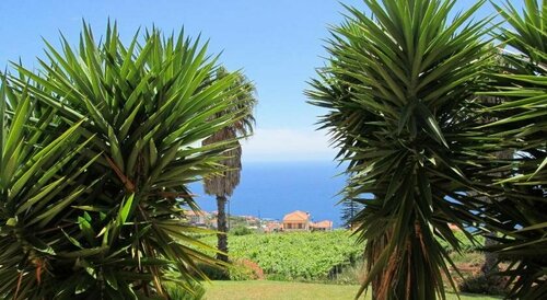Quinta Alegre, Book Hotel Hotels in Madeira Archipelago with a Pool, Swimming Pool