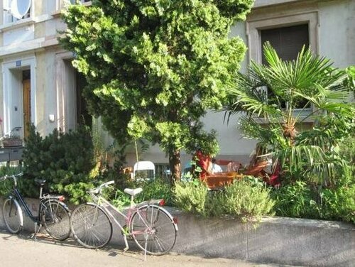 B&B La Vie en Rose, Забронировать Отель «постель и завтрак» Базель Базель-Штадт, рядом с Музей Антиквариата и коллекция Людвига