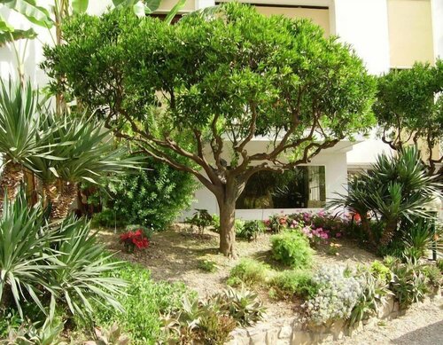 Residence La Carruba, Забронировать Отель Отели Ривьера-дей-Фьори с бассейном, Бассейн