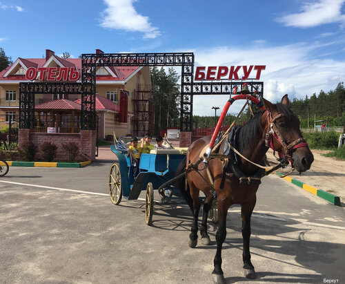 Отель Беркут, Забронировать Отель Малое Козино 