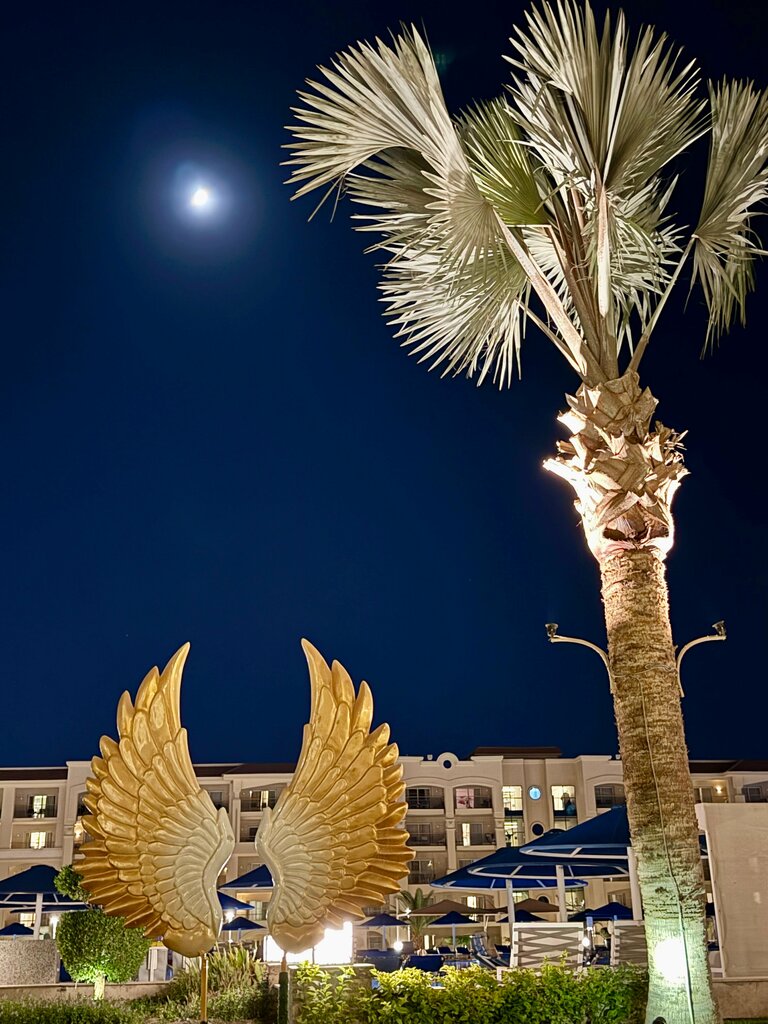 Pickalbatros White Beach Resort - Hurghada