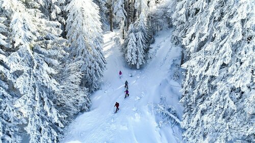 NATURE TITISEE - Easy.Life.Hotel, Reserva ahora Hotel Hinterzarten Feldberg