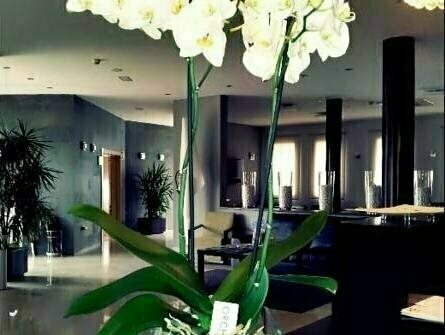 Hotel El Trebol, Забронировать Отель Карбонерас Коста-де-Альмерия, рядом с Castillo de San Andrés