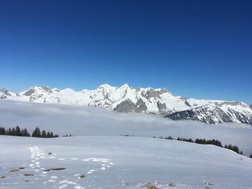Gasthaus Schönenboden, Забронировать Отель Вильдхаус Toggenburg, рядом с Wildhaus-Gamplüt