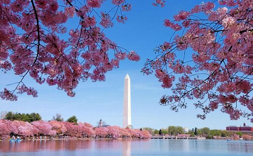Le Meridien Washington, DC, The Madison, Забронировать Отель Отели и гостиницы Вашингтона, рядом с Freer museum, Отель