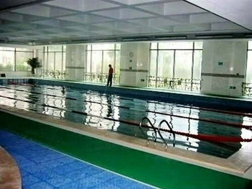 Phoenix Tree Hotel, Book Hotel Beijing Beijing Province