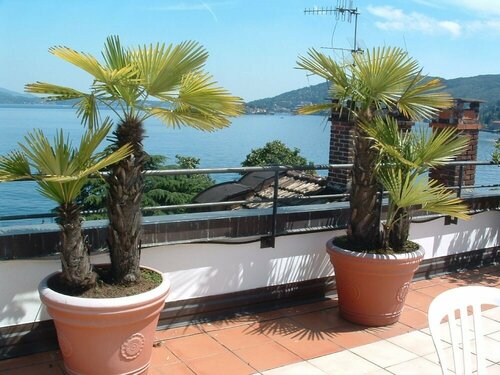 Residence Holiday, Забронировать Отель Отели Provincia di Varese 3 звезды, 3*