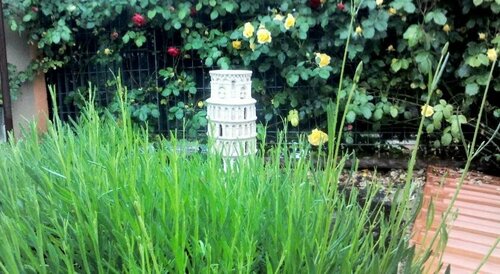 B&B il gelsomino, Đặt Nhà nghỉ có bữa sáng Ghisalba 