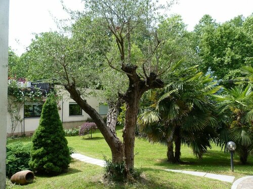 Parco Sassi Hotel, Boek Hotel Borgo Dora Turijn