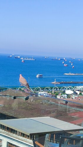 Hotel Arcadia Blue Istanbul, Забронировать Отель Отели Стамбула с бассейном, рядом с Beyazit State Library, Бассейн