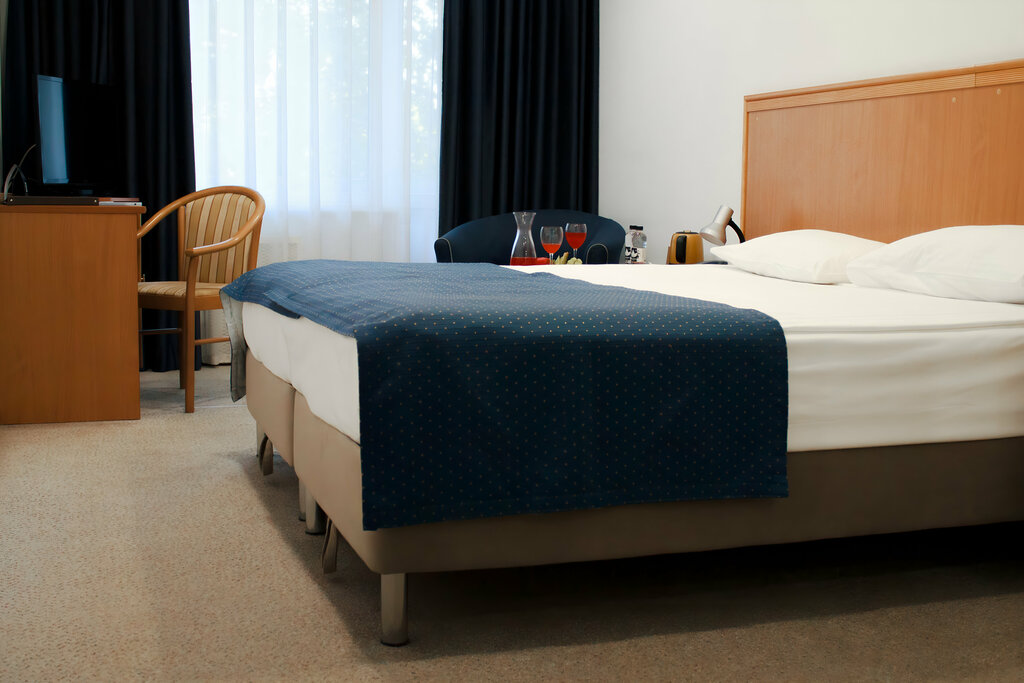 Prezident Otel Dis