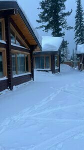 Grizzly house