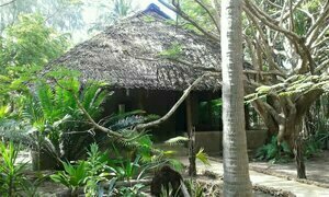 Dream of Africa Cottages Kanamai