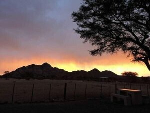 Savanna Guest Farm