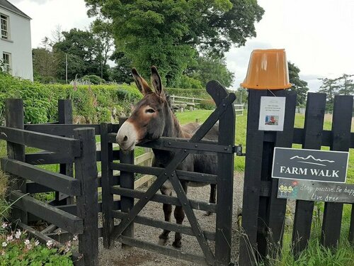 Abhainn Ri Farmhouse, Prenota Bed & breakfast Blessington Contea di Wicklow