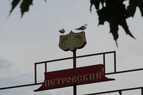Petrovskij Hotel, Boek Hotel  
