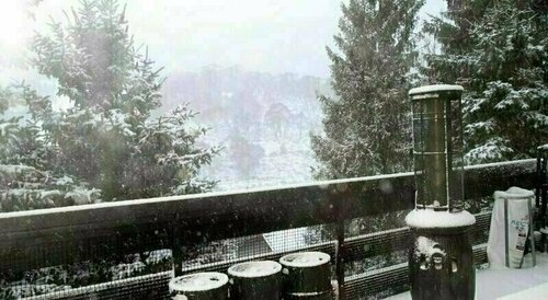 Black Bear Inn, Забронировать Отель «постель и завтрак» Отели Тредбо с завтраком, рядом с Лыжный подъёмник Merrits Double Chair, Завтраки