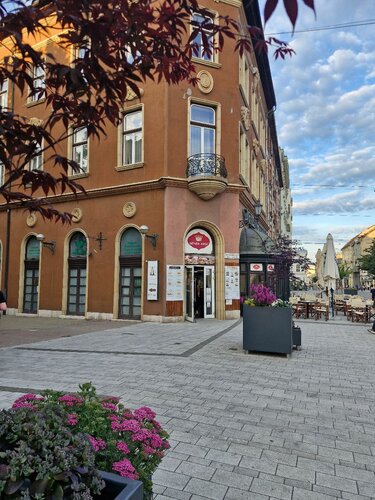 Hotel Pannonia, Book Hotel Hoteller i Northern Hungary med parkering, Parkering