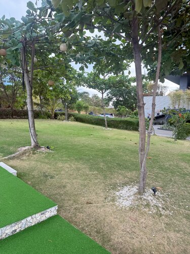 The Reef Island Resort Mactan, Cebu, Book Resort Hotels in Cebu with Breakfast, Breakfasts
