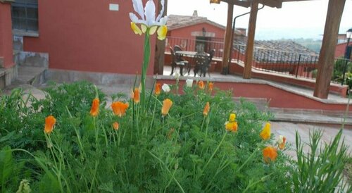 Tenuta San Savino delle Rocchette, Prenota Agriturismo Hotel a Umbria con piscina, Piscina