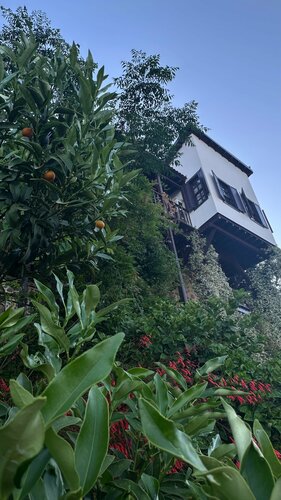 Hotel Villa Turka, Rezervovat Hotel Alanya 