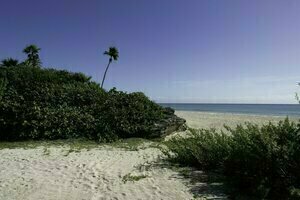 Palmaïa-The House of AïA: All Inclusive Wellness Resort, Rezerwuj Ośrodek wypoczynkowy Hotele resortowe w Playacar, Ośrodek wypoczynkowy