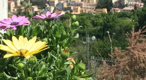 Gianmaria B&B, Reserva ahora Bed & breakfast Hoteles en Basilicata con aparcamiento, Aparcamiento