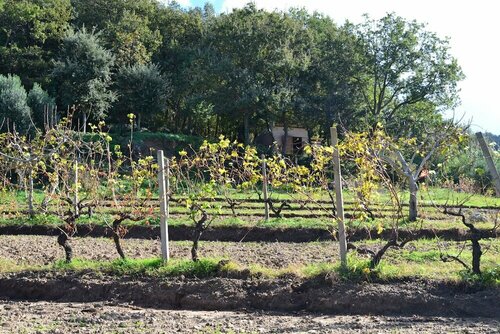 Borgo Rosso di Sera Resort Country Chic, Book Ferieresort San Lucido Calabrien