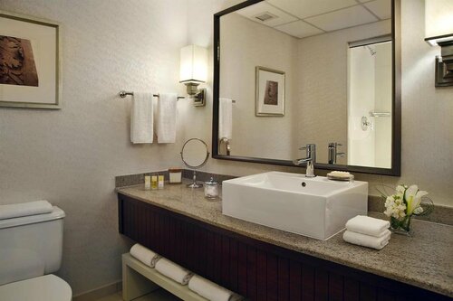Hyatt Regency Saint Louis at The Arch, Забронировать Отель Downtown St. Louis Сент-Луис