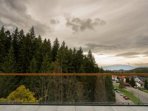 Swissôtel Poiana Brasov, Book Hotel Poiana Brasov Brasov