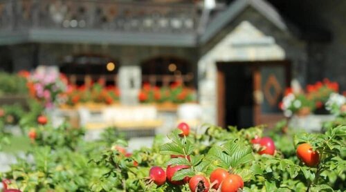 Hotel Del Viale, Забронировать Отель Отели Курмайора 3 звезды, 3*