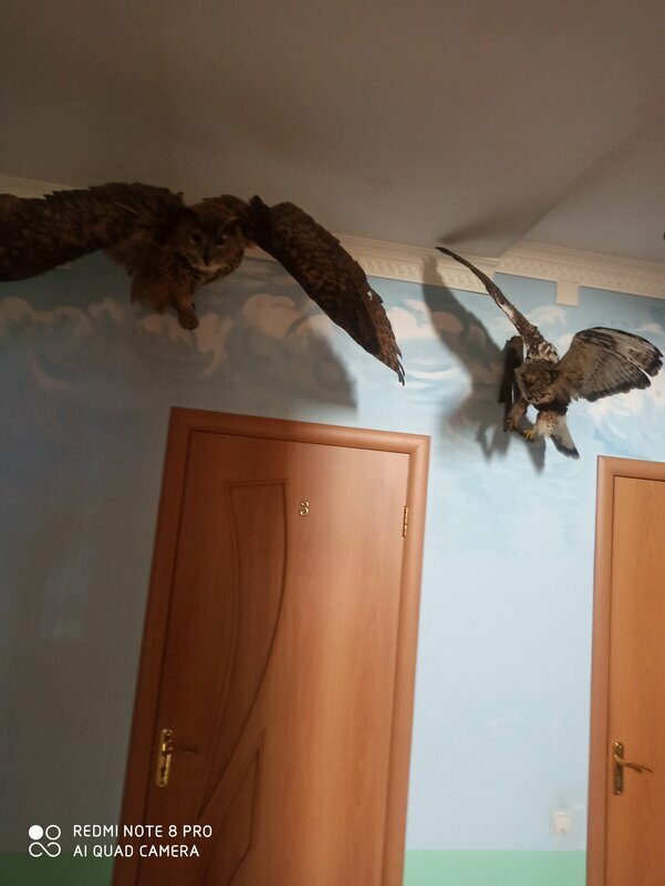 Диво